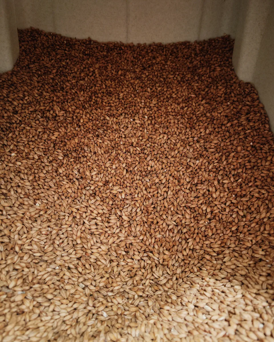 Malt utilisé pour les brassins artisanaux